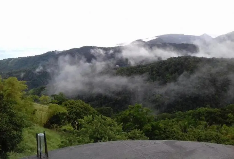 اتاق استاندارد با چشم‌انداز کوهستان, Matthew S Miracle View