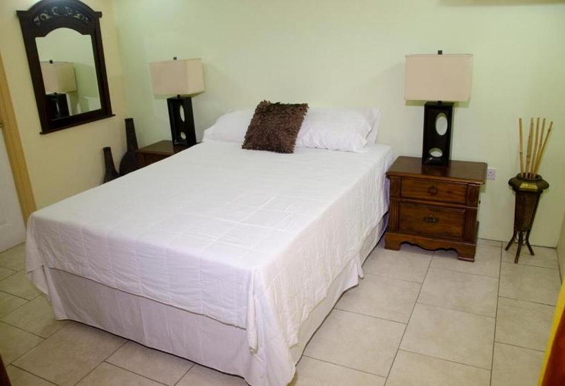 اتاق استاندارد, Matthew S Miracle View