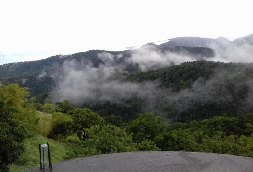 اتاق استاندارد, Matthew S Miracle View