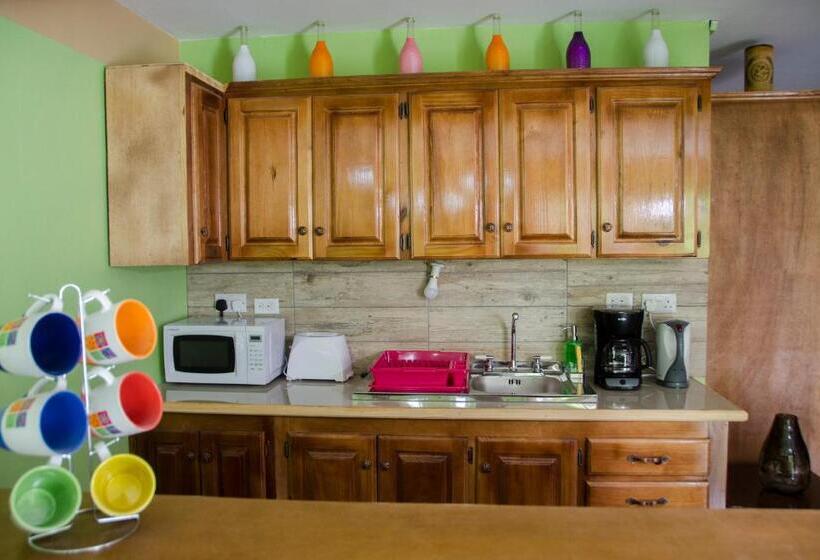 اتاق استاندارد با بالکن و چشمانداز دریا, Matthew S Miracle View