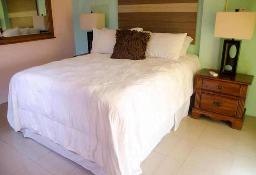 اتاق استاندارد با بالکن و چشمانداز دریا, Matthew S Miracle View