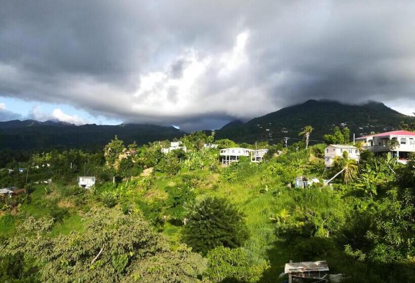 اتاق استاندارد با چشمانداز کوهستان, Matthew S Miracle View