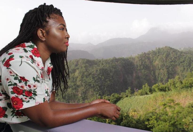 اتاق استاندارد, Matthew S Miracle View