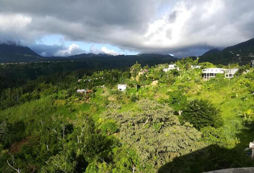 اتاق استاندارد, Matthew S Miracle View