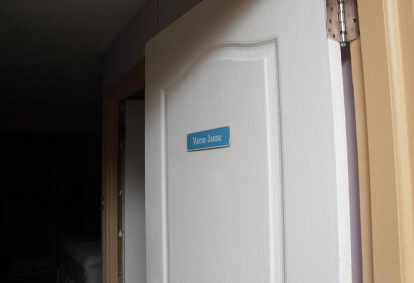 اتاق استاندارد, Matthew S Miracle View