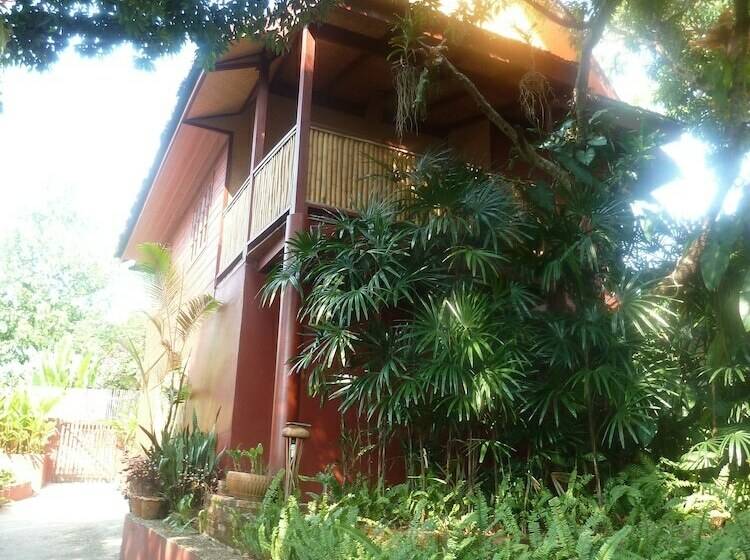 标准平房, Old Tree S House