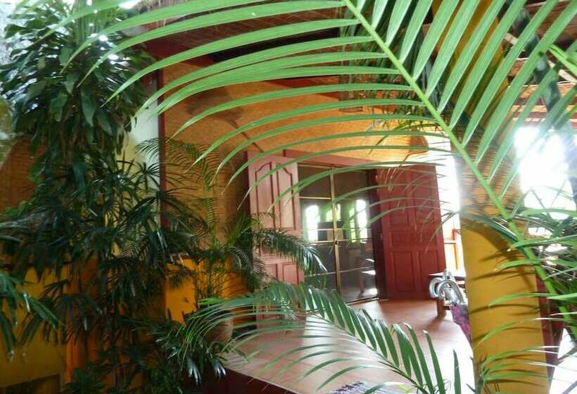 标准平房, Old Tree S House