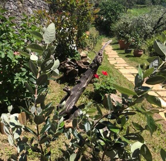 חדר דופלקס, B&b Puccini