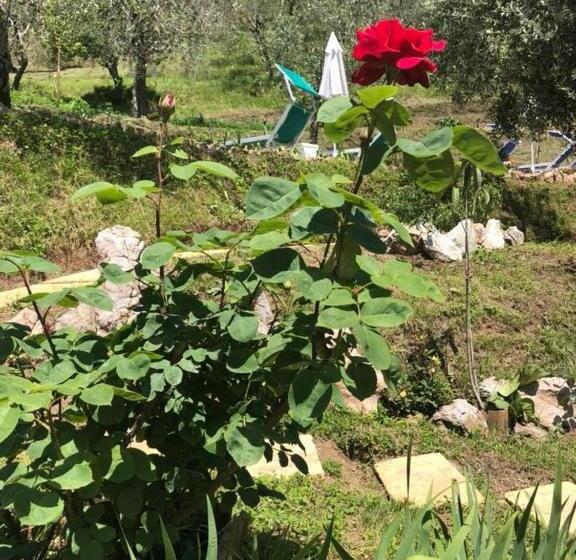 חדר דופלקס, B&b Puccini