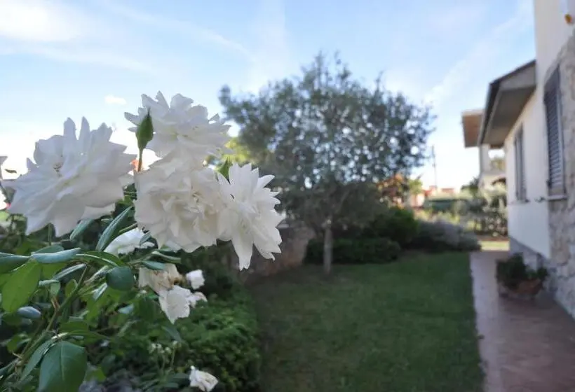 Standard-huone, I Leoncini
