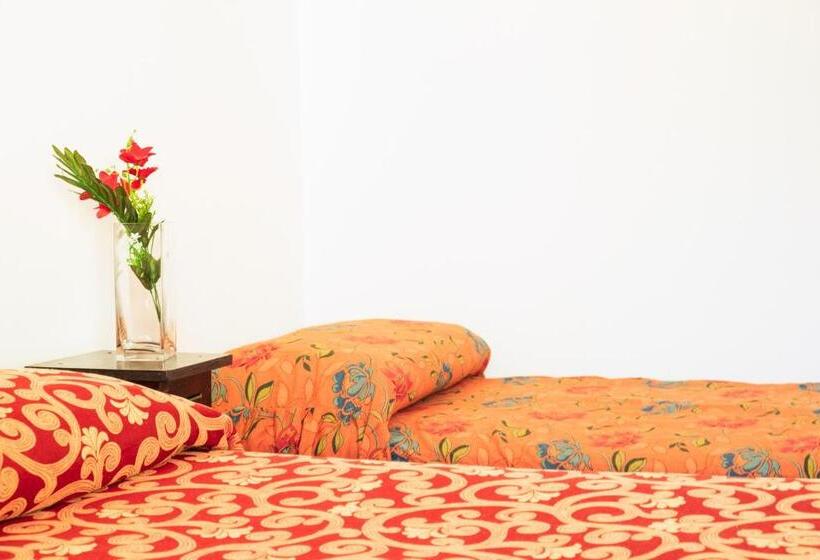 标准间, I Leoncini