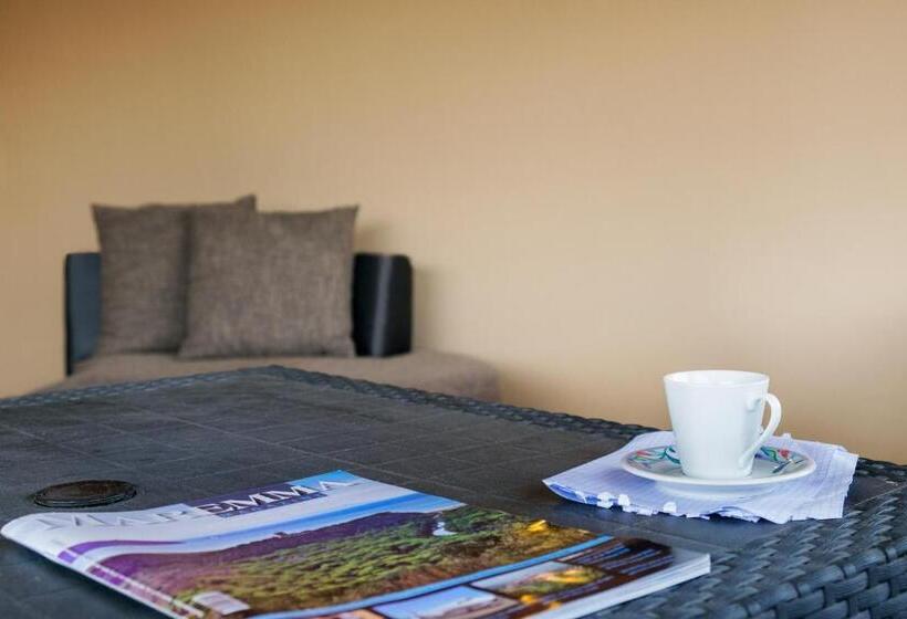 标准间, I Leoncini