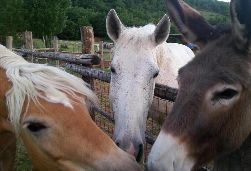 اتاق استاندارد سه نفره, Il Giardinaccio Agriturismo
