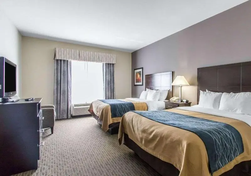 オーシャンビュースタンダードルーム, Caneiros Luxury House & Suites