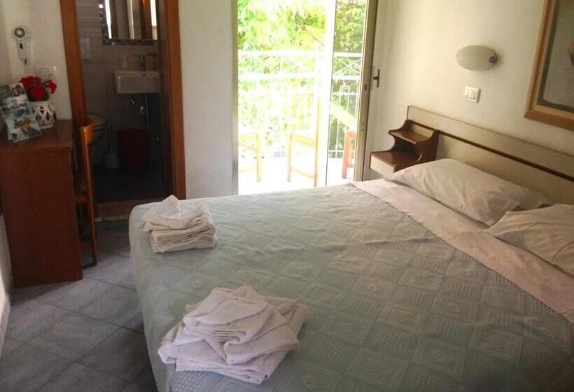 Номер Стандарт, Jole