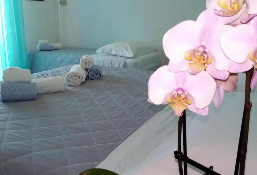 オーシャンビューのデラックストリプルルーム, Rosalba