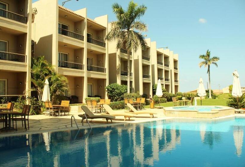 سوییت جونیور با چشم‌انداز استخر, Panacea Suites