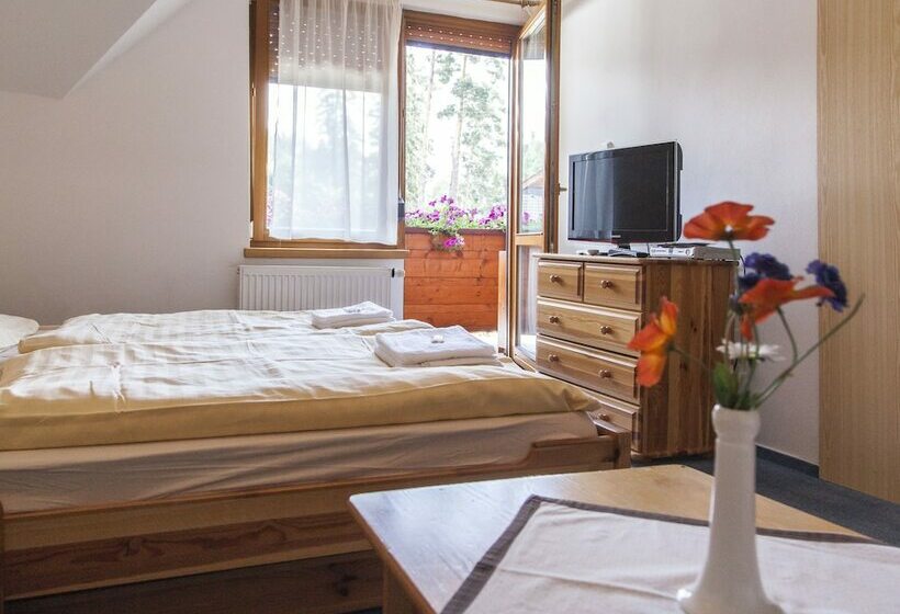 标准工作室, Penzion Snezienka