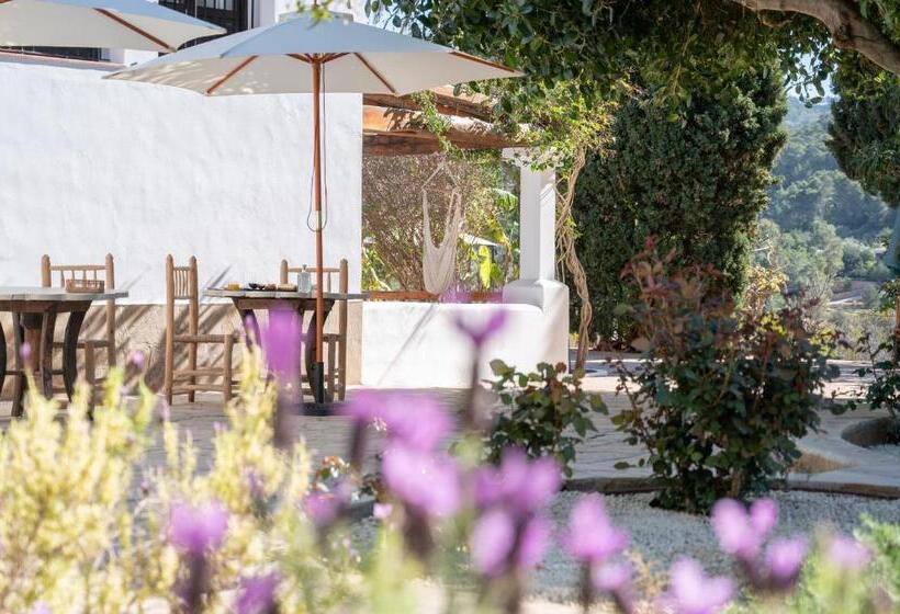 Superior Room with Terrace, Valley Club Ibiza   Boutique Agroturismo