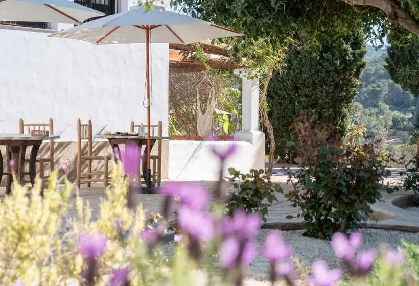 テラス付スーペリアルーム, Valley Club Ibiza   Boutique Agroturismo