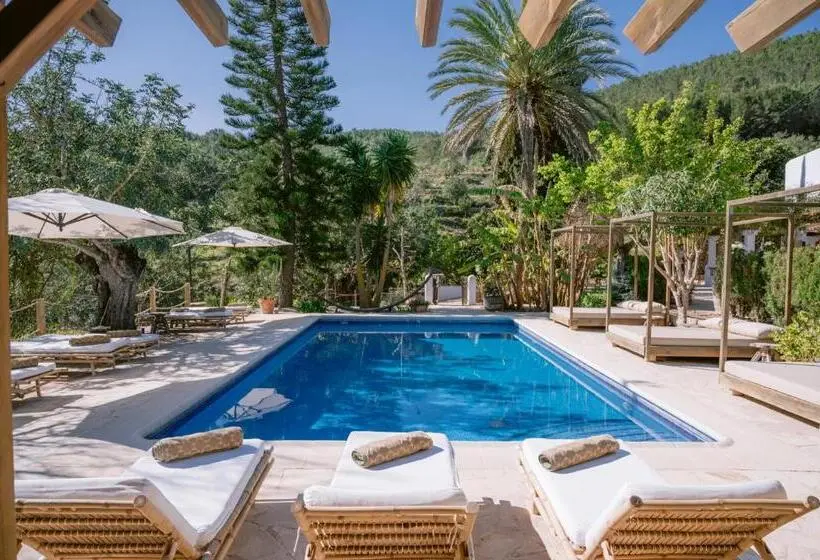 テラス付スーペリアルーム, Valley Club Ibiza   Boutique Agroturismo
