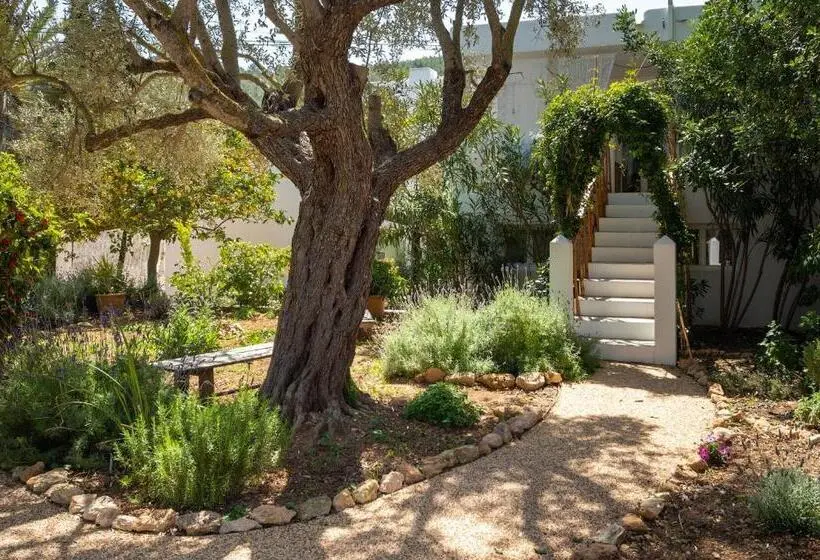 ファミリールーム, Valley Club Ibiza   Boutique Agroturismo