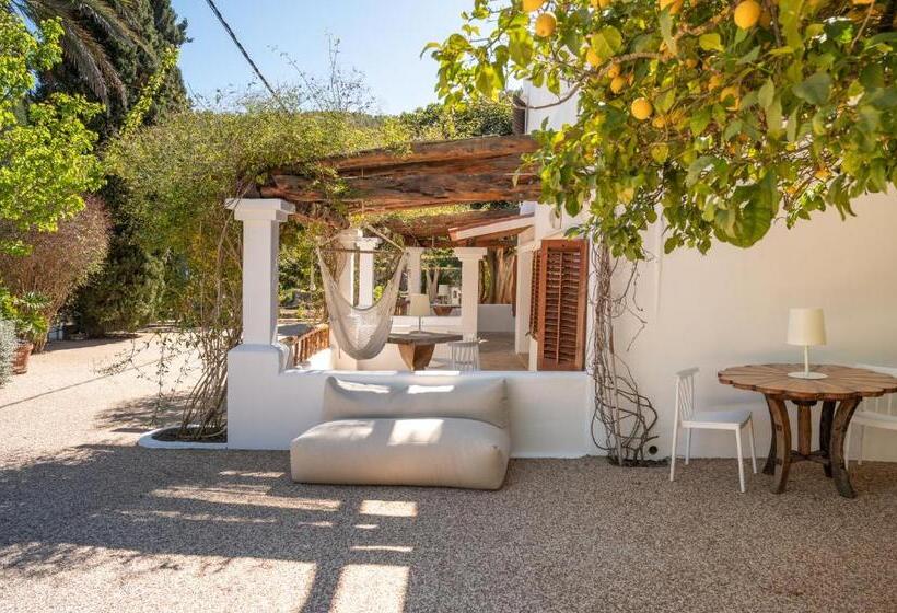 带露台的高档房间, Valley Club Ibiza   Boutique Agroturismo