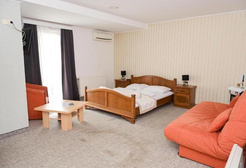 اتاق استاندارد با بالکن, Motel Plaza