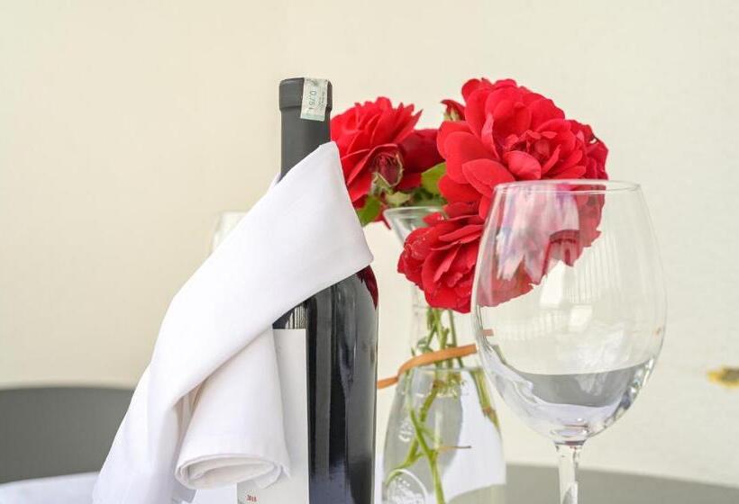 اتاق استاندارد با بالکن, Motel Plaza