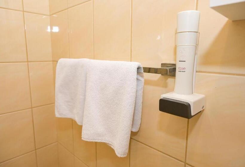 اتاق لوکس, Motel Plaza