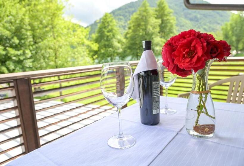 اتاق استاندارد با چشمانداز دریاچه, Motel Plaza