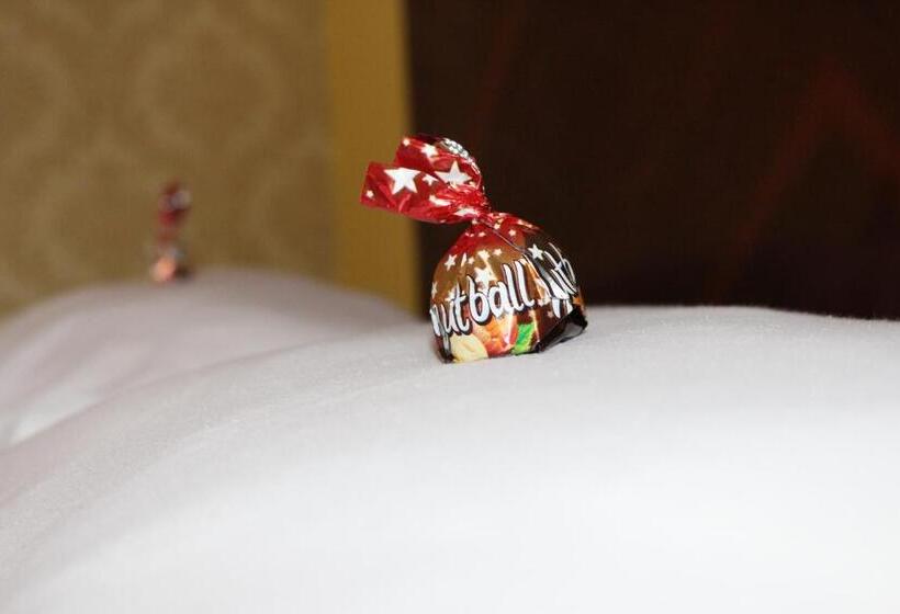 اتاق استاندارد یک نفره, Motel Alas