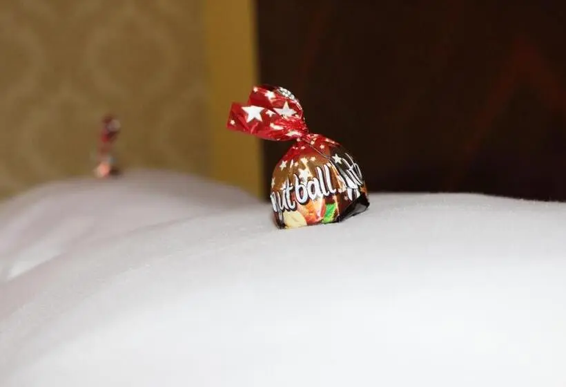 اتاق استاندارد یک نفره, Motel Alas