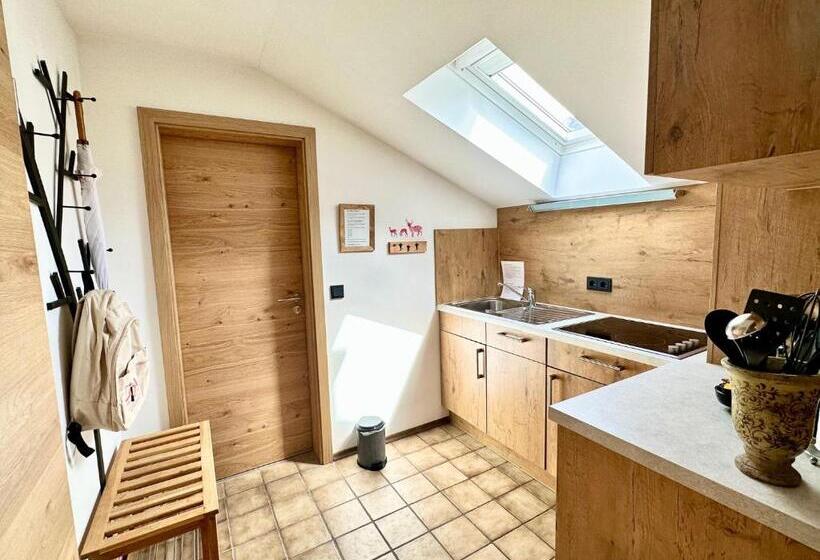 شقة غرفة واحدة, Boutique Hotel Längenfelder Hof