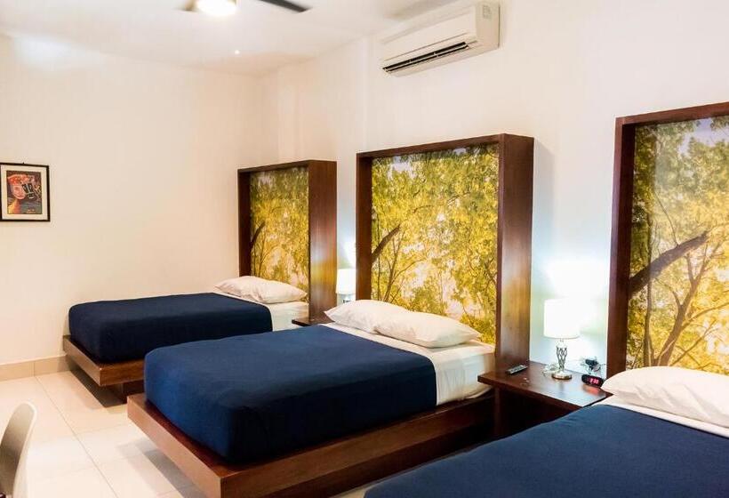 デラックストリプルルーム, Agualcas