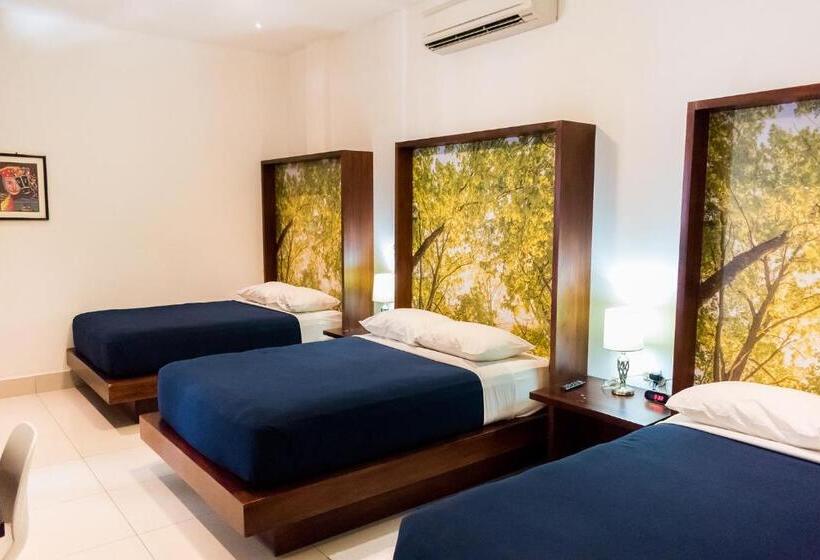 デラックストリプルルーム, Agualcas