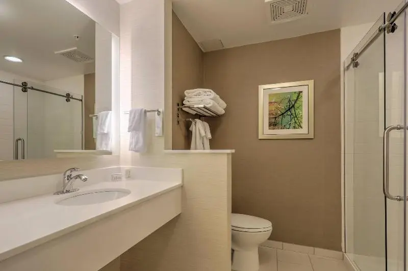 اتاق استاندارد با تخت بزرگ, Fairfield Inn & Suites By Marriott Greenville