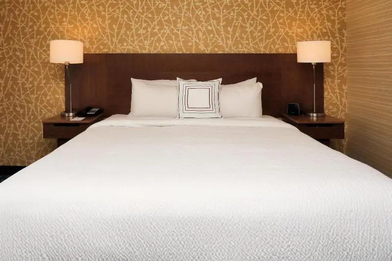 اتاق استاندارد با تخت بزرگ, Fairfield Inn & Suites By Marriott Greenville