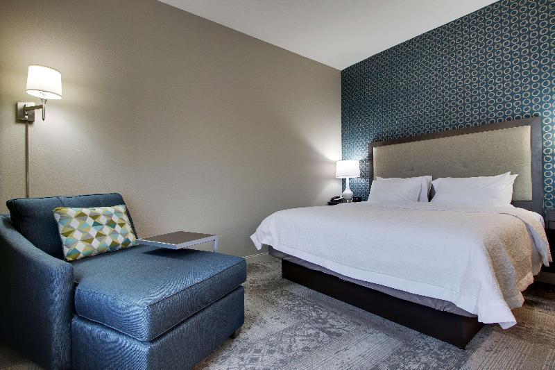 스탠다드 룸 킹사이즈 침대, Hampton Inn & Suites Knightdale Raleigh