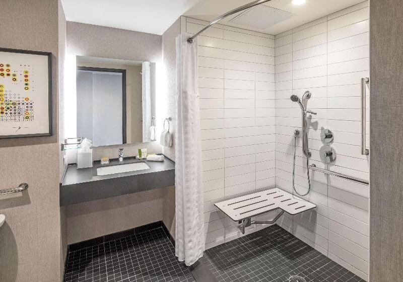 스탠다드 룸 킹사이즈 침대, Hilton Des Moines Downtown