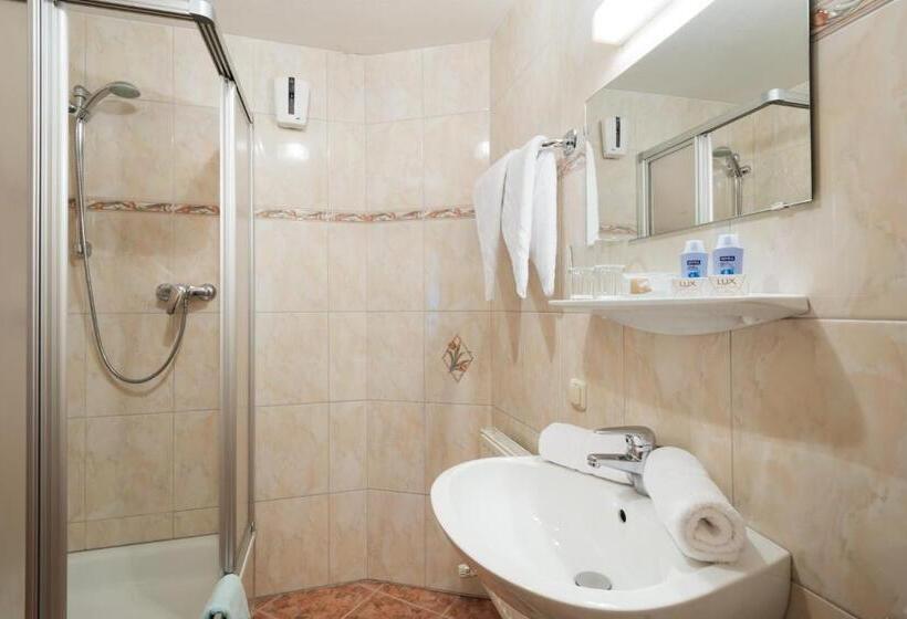 شقة غرفة واحدة, Altachhof Hotel Und Ferienanlage