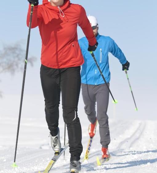 غرفة قياسية فردية, Altachhof Hotel Und Ferienanlage