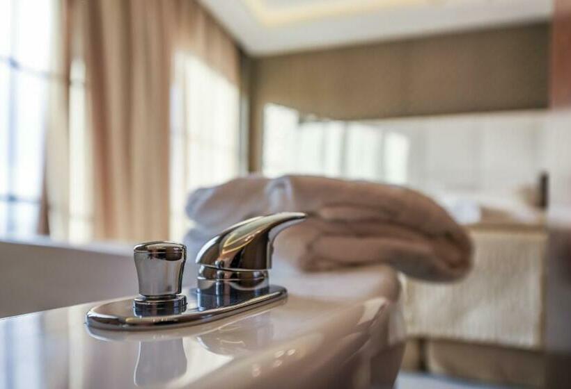 Suíte Executivo, Elegance Luxury Executive Suites  Adults Only