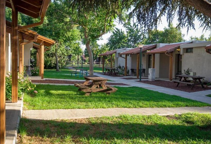 Standard Studio, Merom Golan Resort