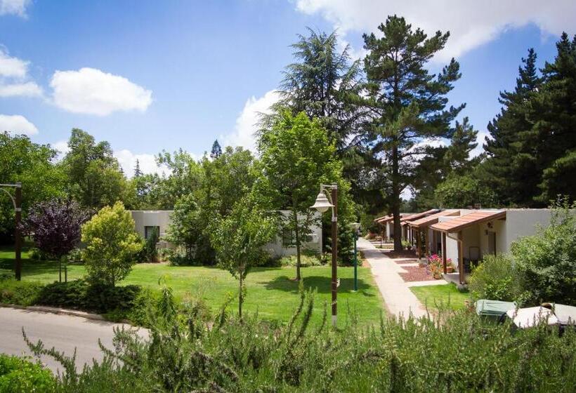 Standard Studio, Merom Golan Resort