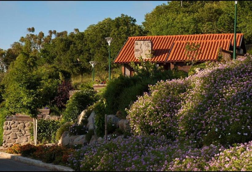 1 Bedroom Chalet, Merom Golan Resort