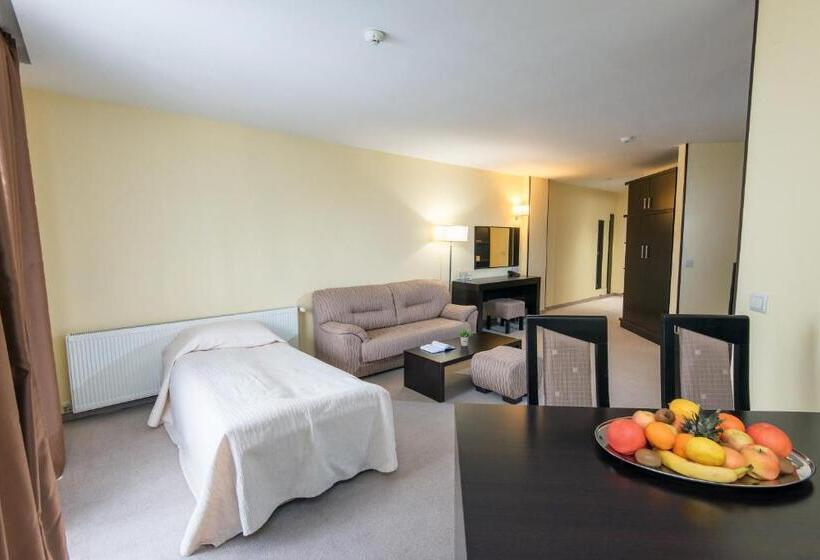 Полулюкс, Bellevue Ski & Relax   Half Board