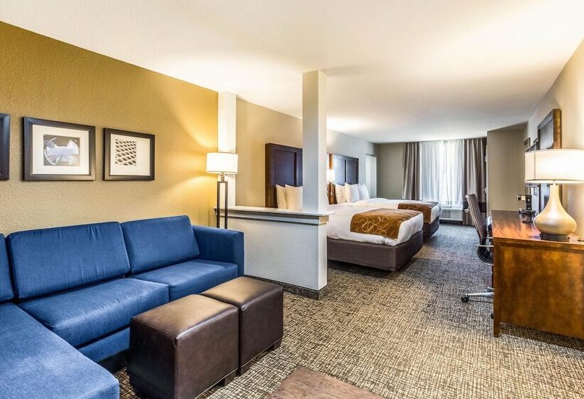 סוויטה מותאמת לאדם עם מוגבלויות, Comfort Suites
