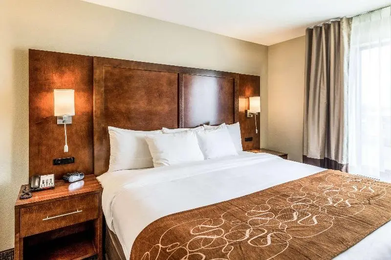キングサイズベッドのスイートルーム, Comfort Suites