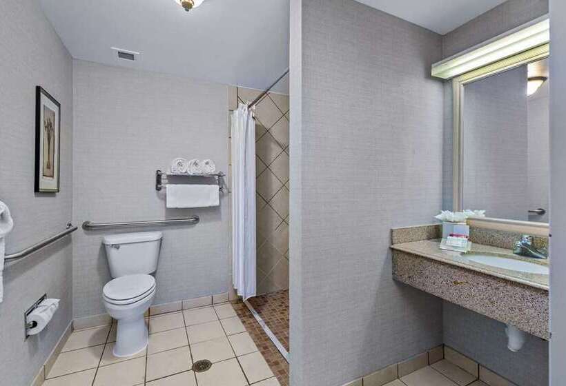 Номер Стандарт, Dello Ft Lauderdale Airport, Tapestry Collection By Hilton